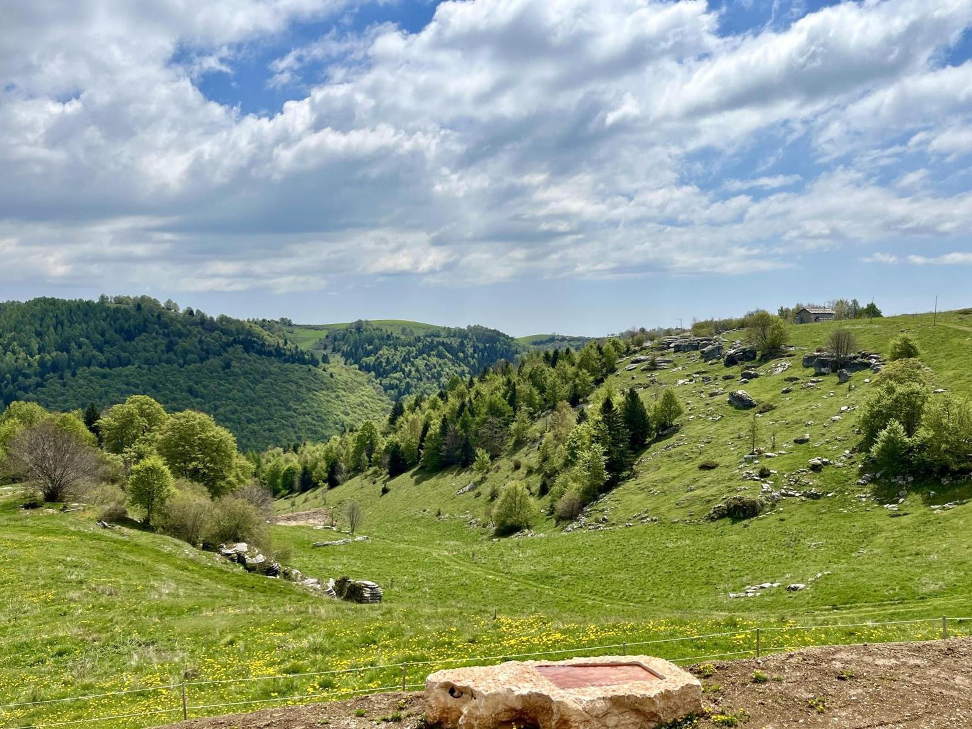 Agriturismo Malga Rambalda Villa Selvavecchia Esterno foto