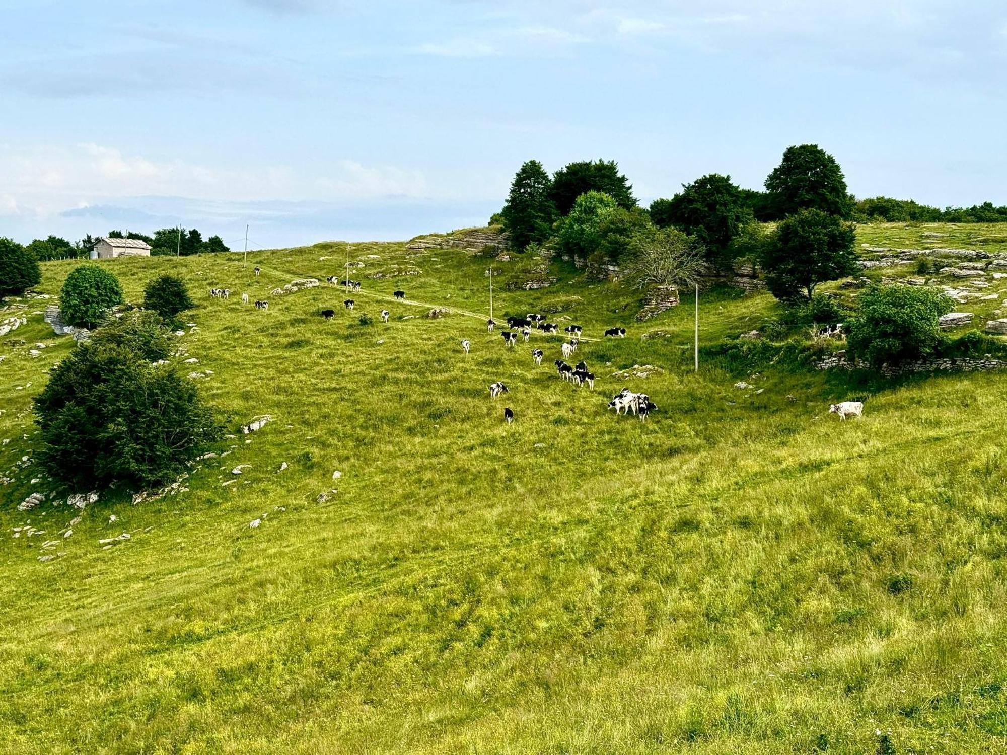 Agriturismo Malga Rambalda Villa Selvavecchia Esterno foto